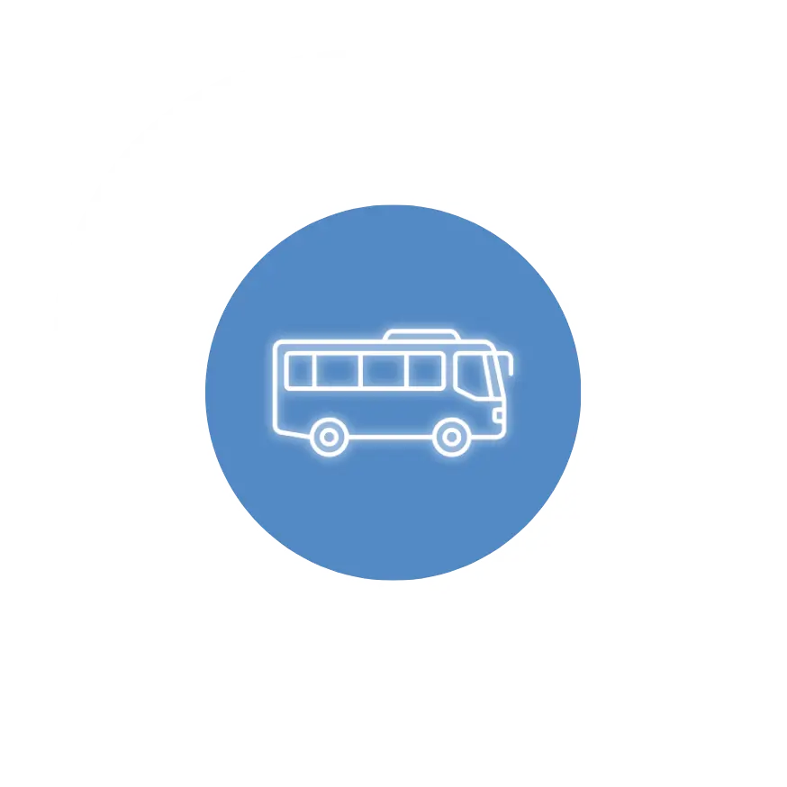 Buses